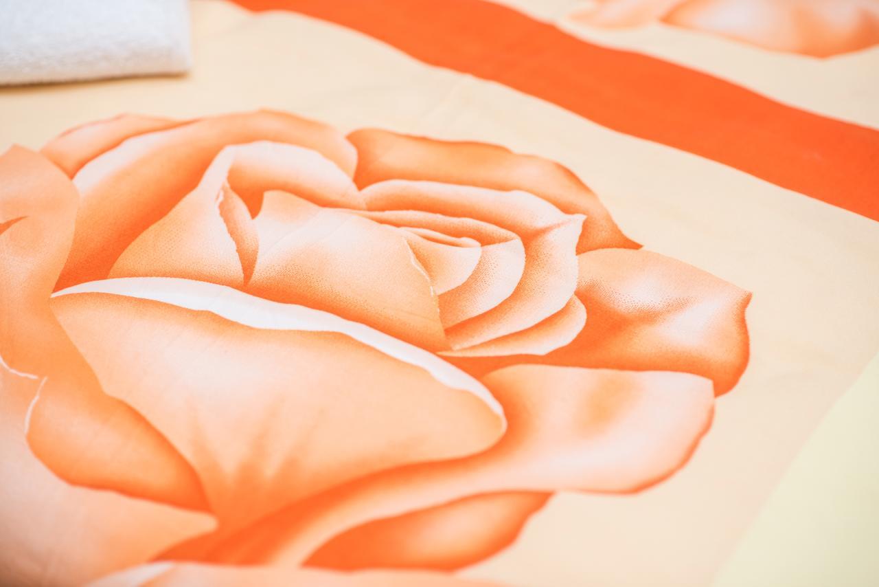 Gaestehaus Villa Rose Durrrohrsdorf 外观 照片